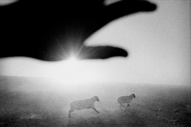 Magnum Photos Matt Black