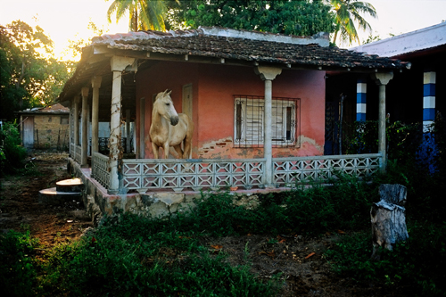 David Alan Harvey Cuba