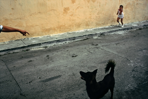 David Alan Harvey Cuba