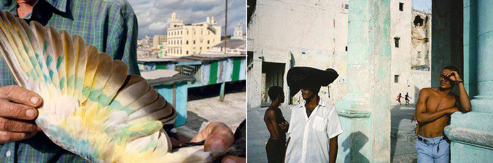 Alex Webb Workshop In Miami