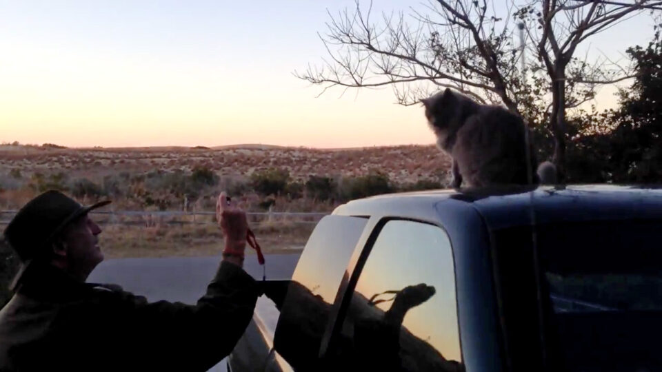 David Allen Harvey Takes A Picture Of His Cat