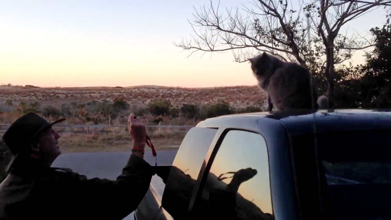 David Allen Harvey Takes A Picture Of His Cat