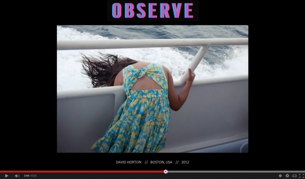 Observe Collective David Horton