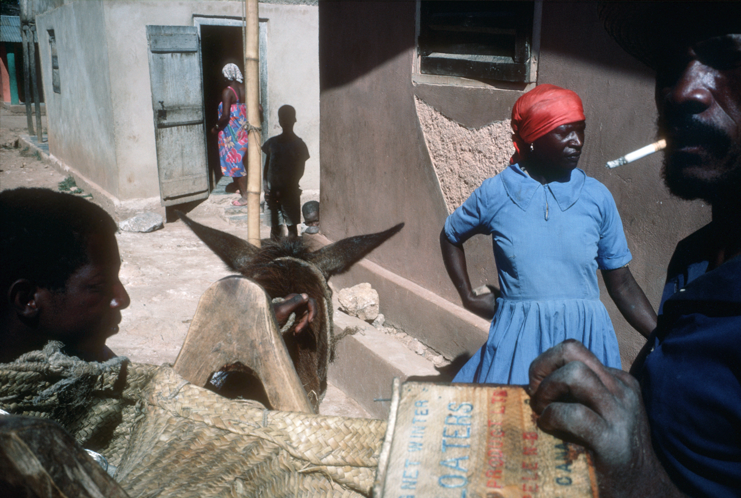 Alex Webb Haiti