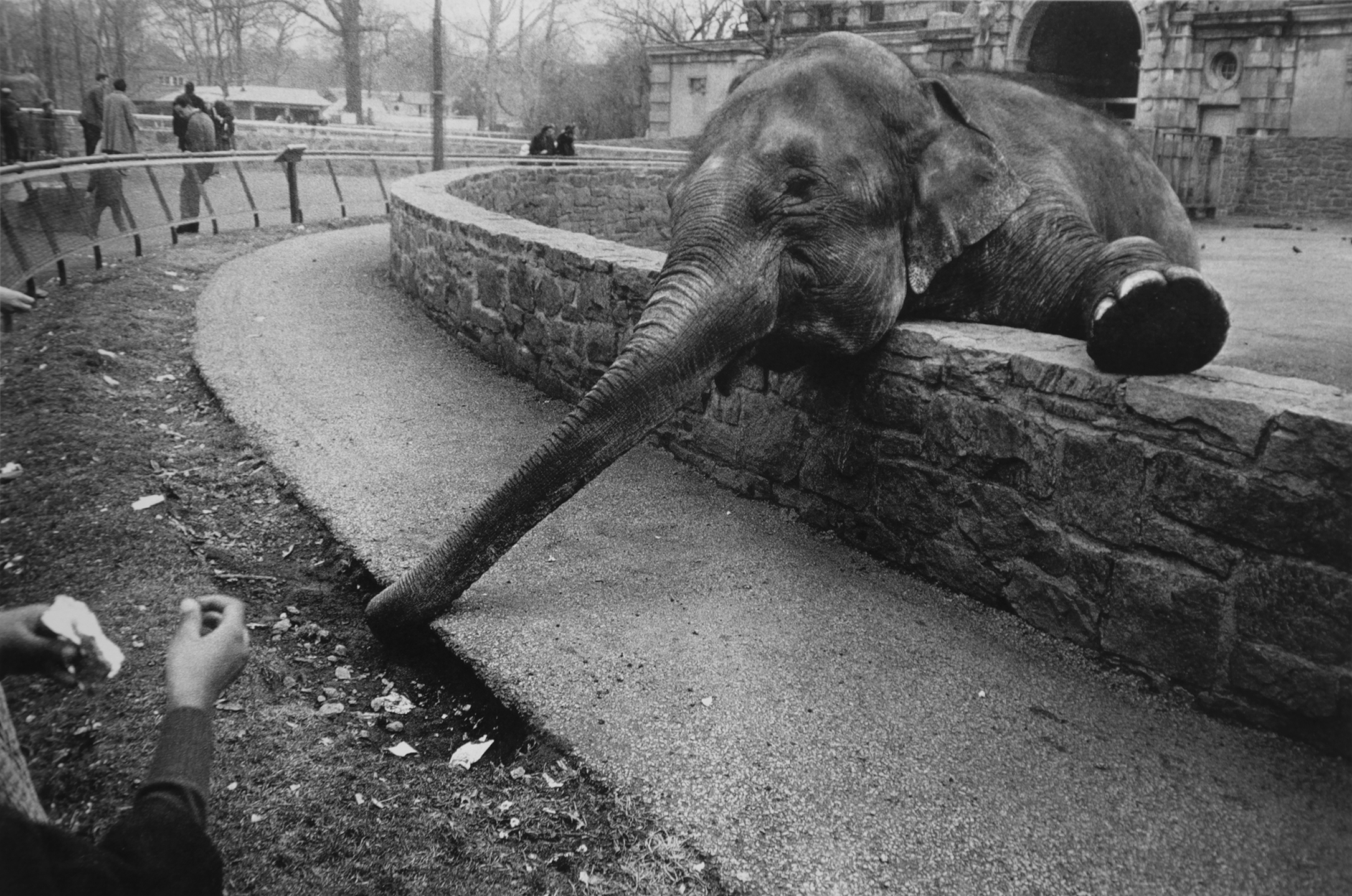 Garry Winogrand Street Photography