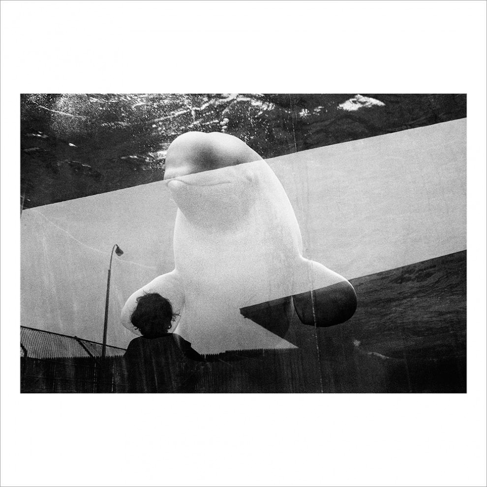 Magnum Square Print Sale - Intimacy