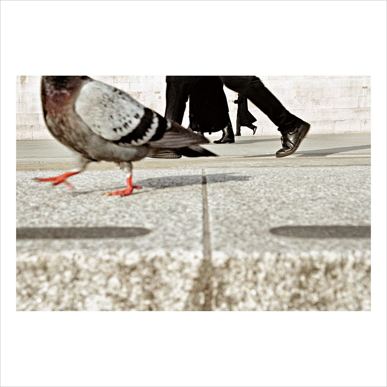 Magnum Square Print Sale - Matt Stuart