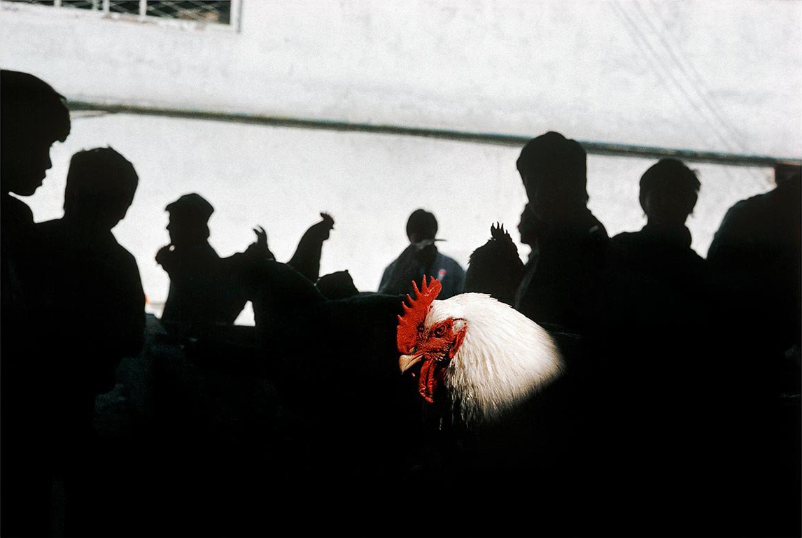 Magnum Square Print Sale - Closer - Gueorgui Pinkhassov