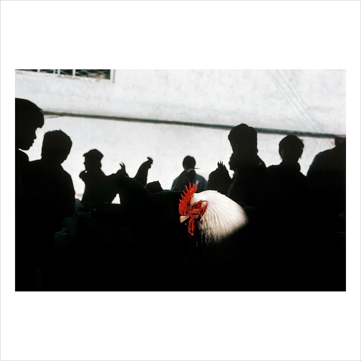 Magnum Square Print Sale - Closer - Gueorgui Pinkhassov