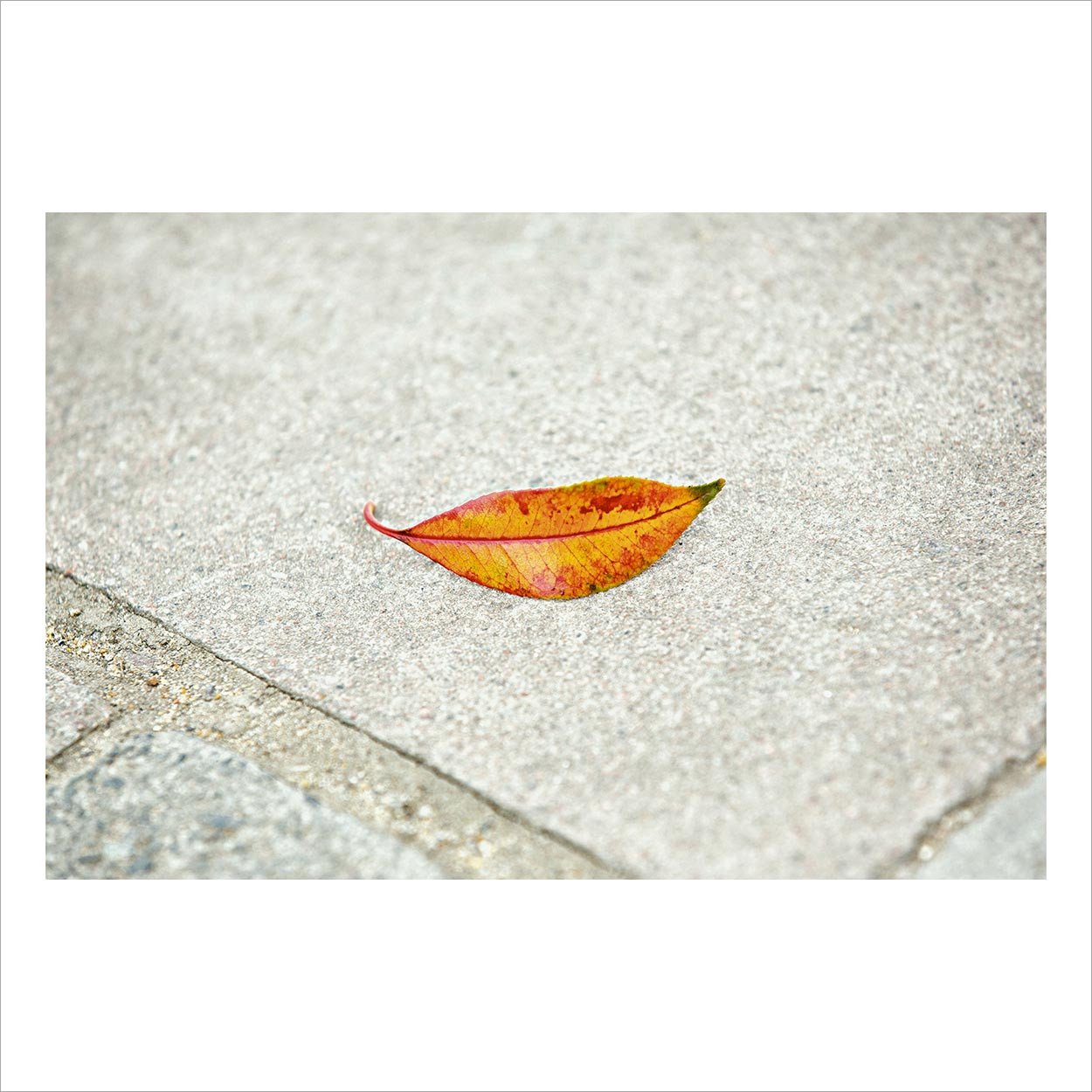 Magnum Square Print Sale - Closer - Matt Stuart