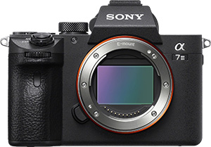 Sony A7iii Street Photography Review - And It's Full Frame