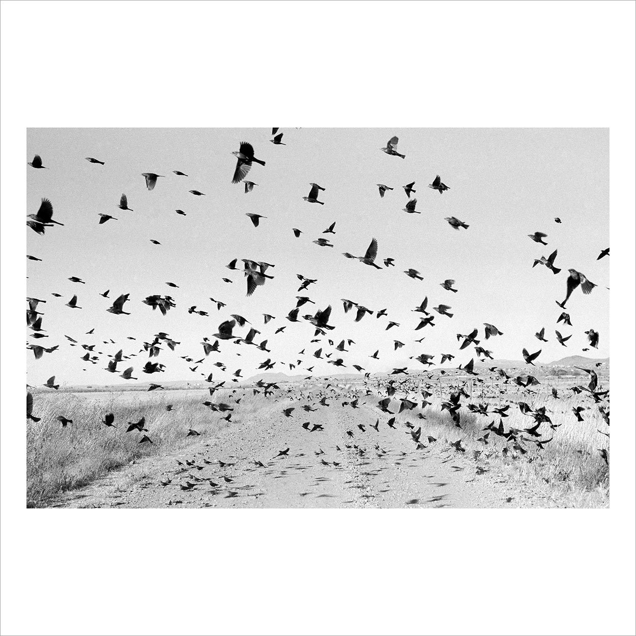 Crossings - Magnum Square Print Sale - Larry Towell