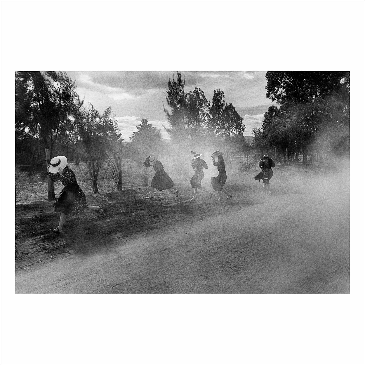 larry towell