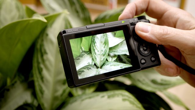 Ricoh GR III Street Photography Review GR3