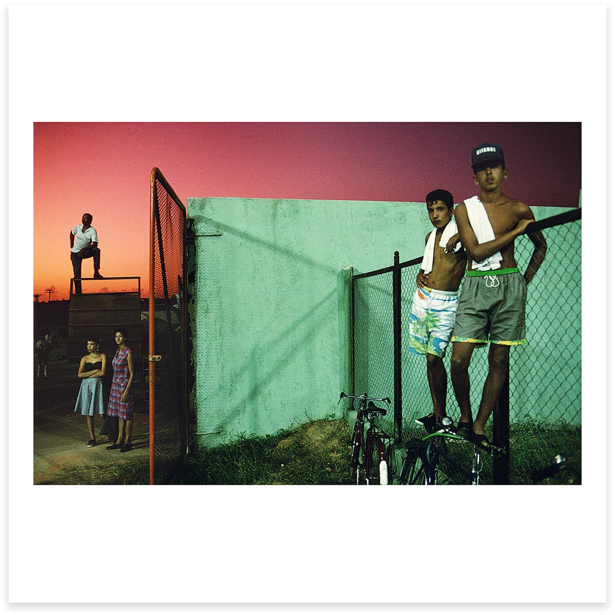 Alex Webb