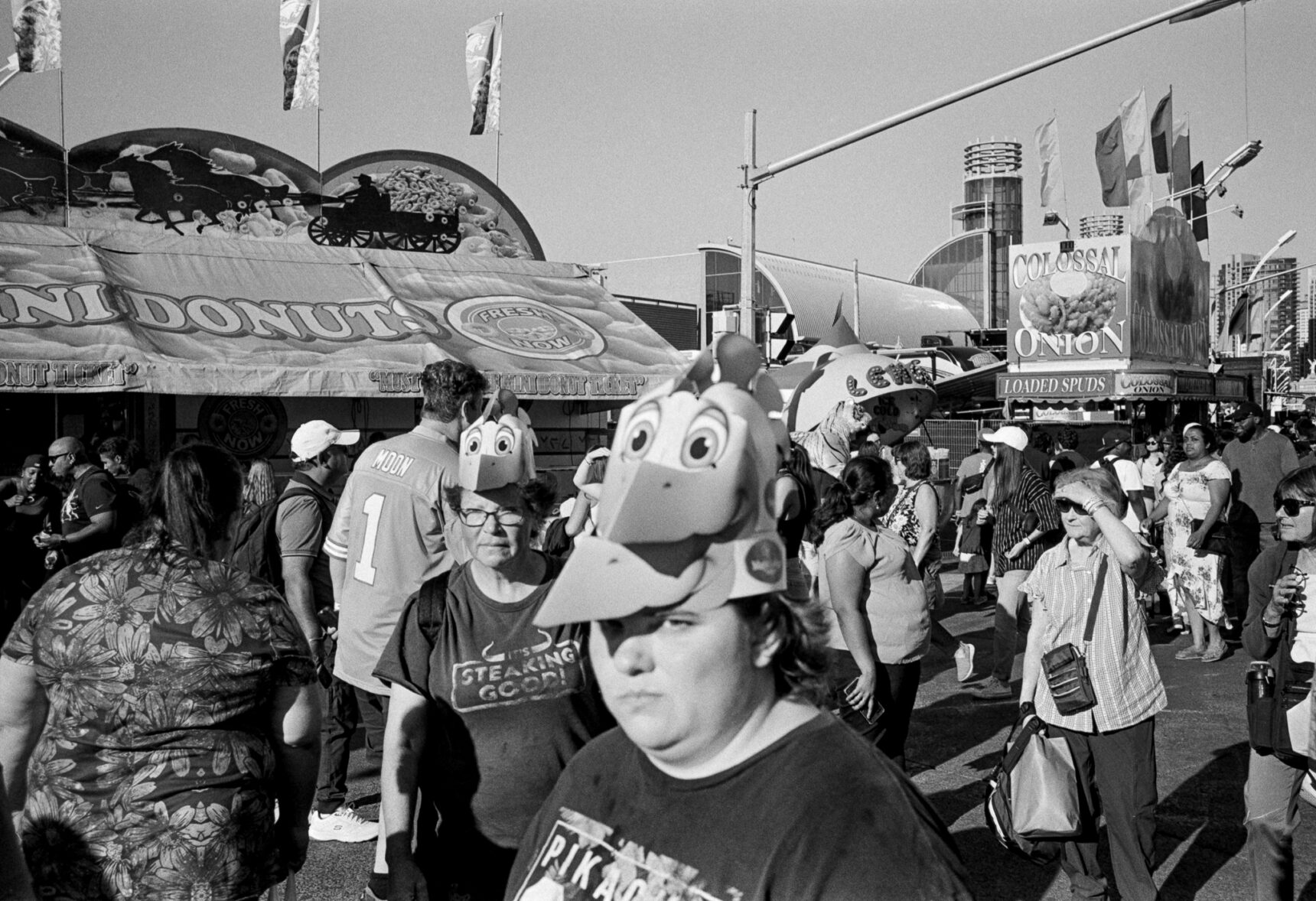 HP5+ Film Photo CNE 2022